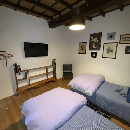 Arte & Piante Vintage