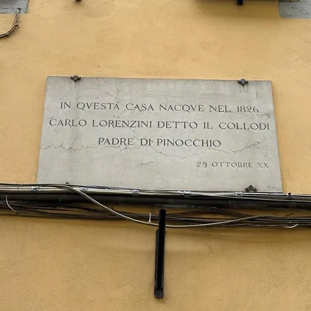 Arte & Piante Vintage * 佛罗伦萨